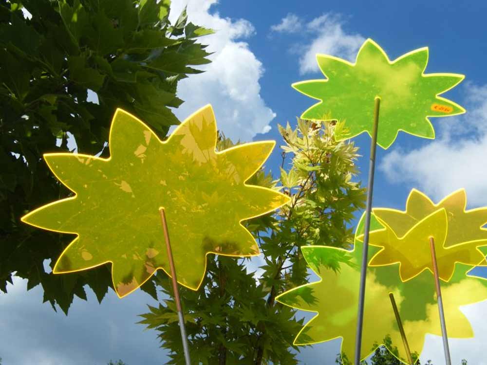 garten-bronder-licht-und-laune-1